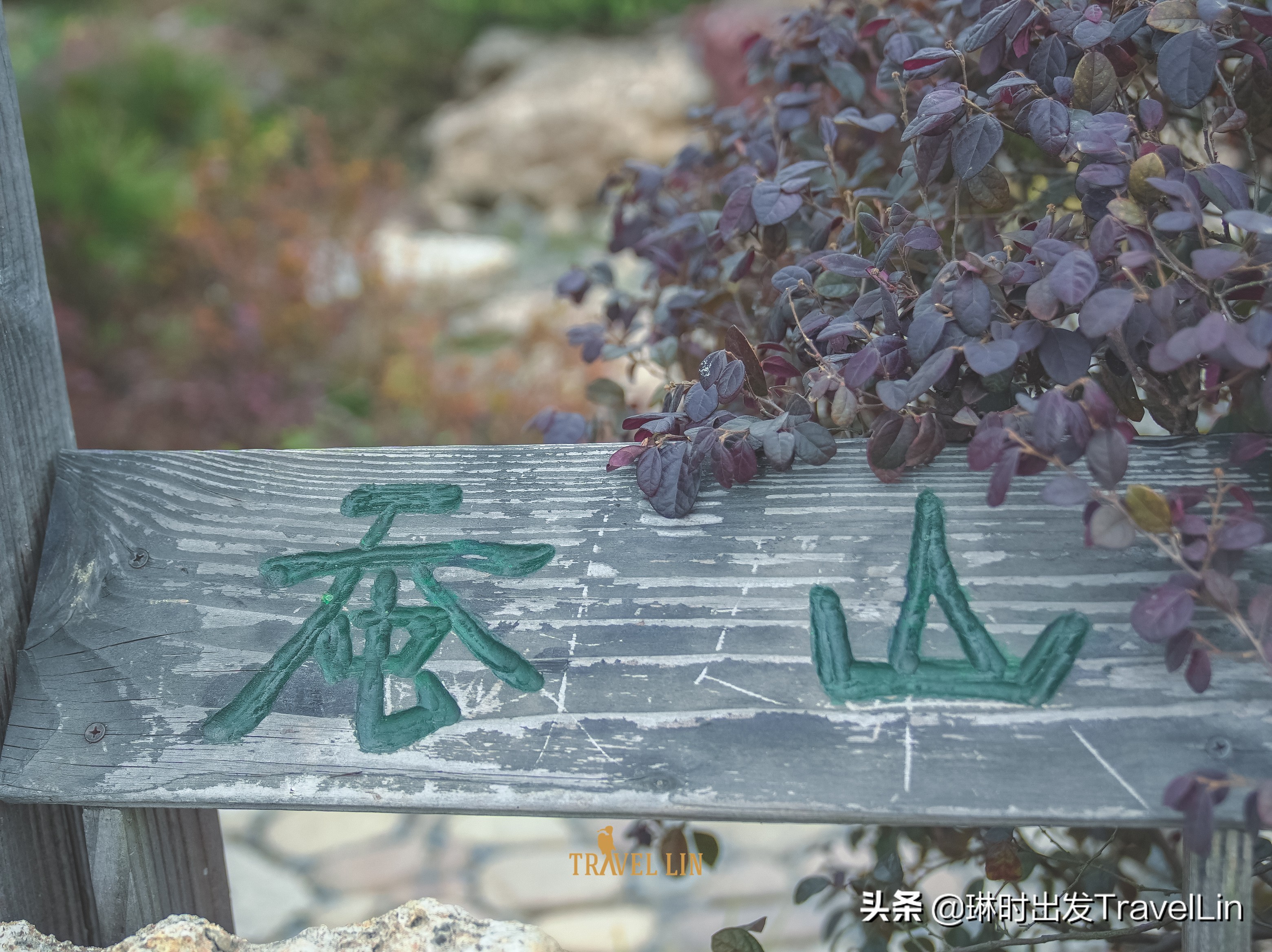 上海奉贤公园推荐,奉贤泡泡公园效果图