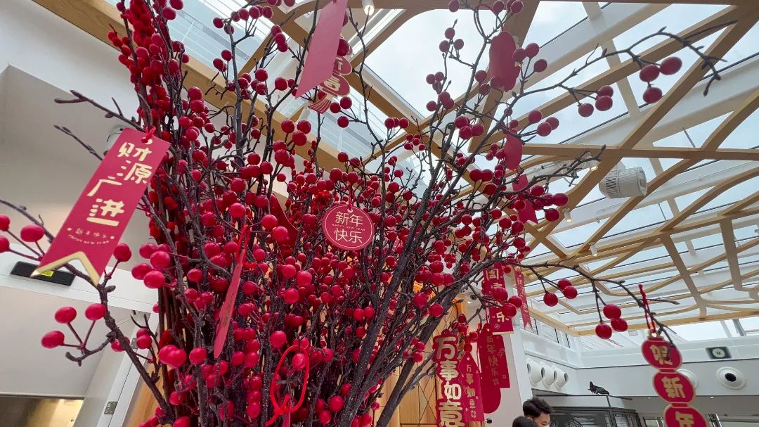 一路向南海南游轮,一场来自维京游轮的浪漫之旅