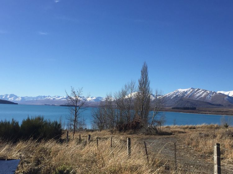 在新西兰如何找到南十字星,新西兰看南十字星