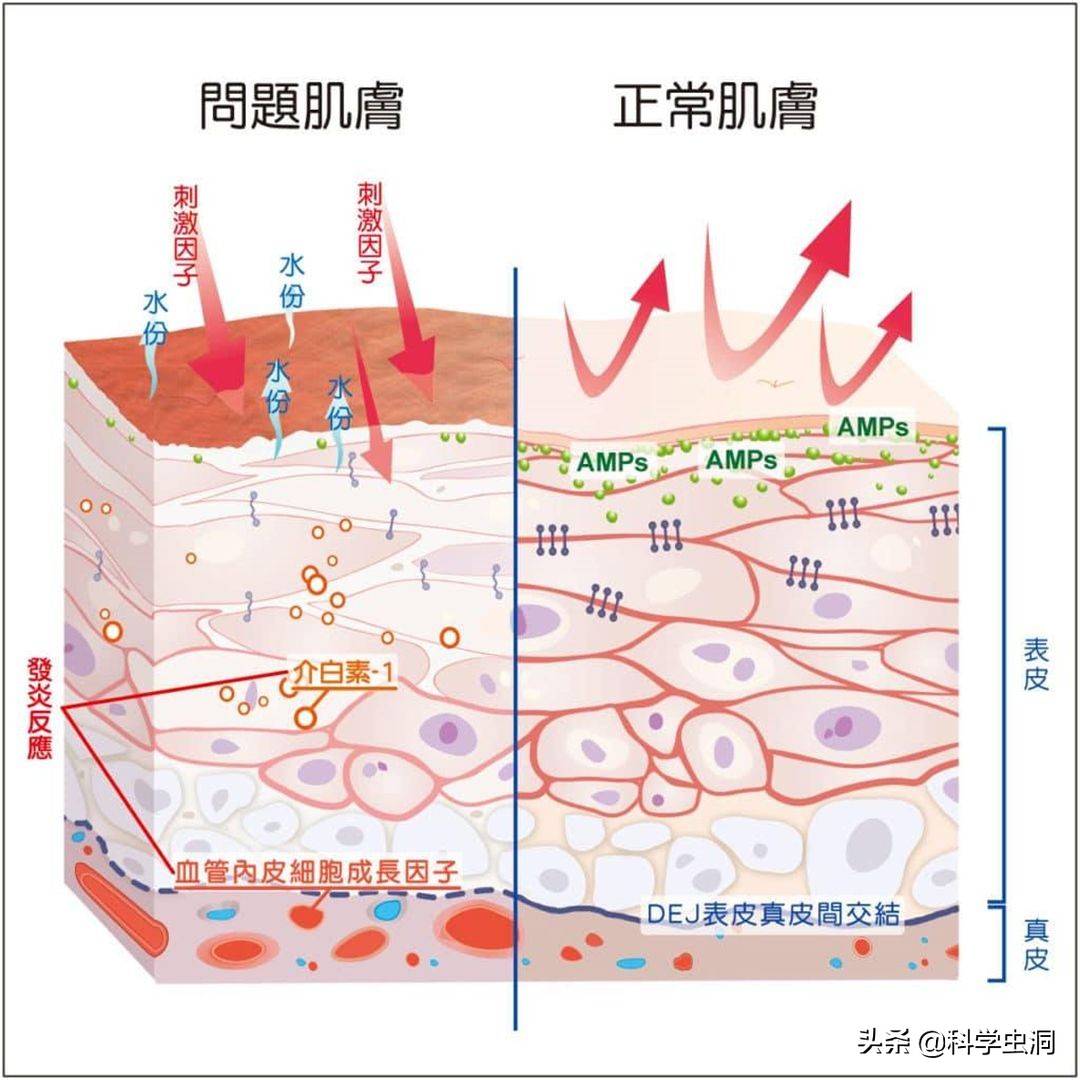 洗澡搓下来的黑泥到底是什么？显微镜放大100倍，画面不忍直视