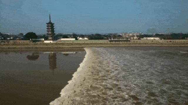 这座佛系安逸的江南老城被赞“全国最美森林火车站”