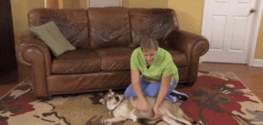 猫咪吃东西被噎住,猫咪吃东西卡住怎么救