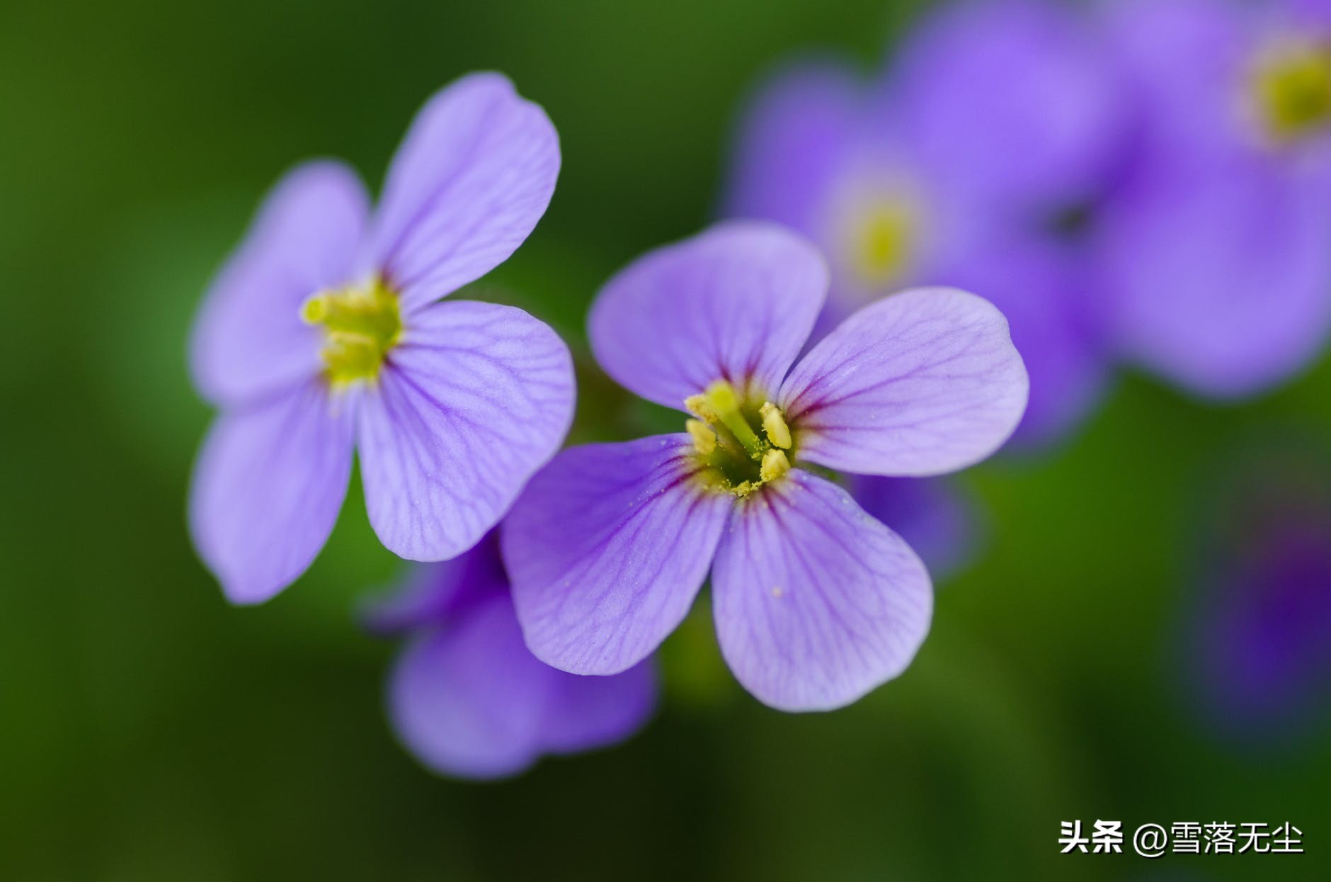 分手后死缠烂打会有怎样的结局,分手了怎么挽回死缠烂打