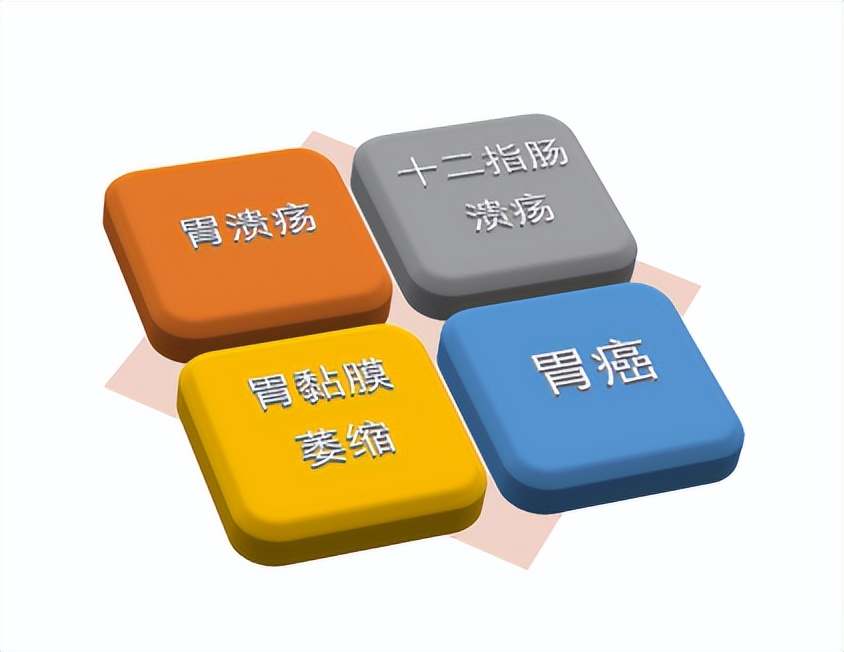 自测护胃日,国际护胃日科普