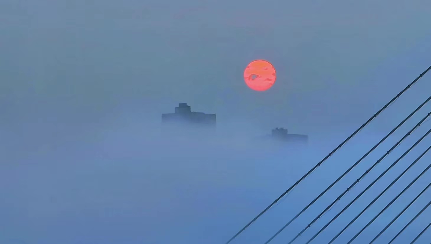 风险投资的运作和管理,投资前需要考虑的问题