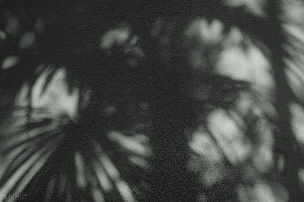 红米10x5g真香,红米两千多真香机型