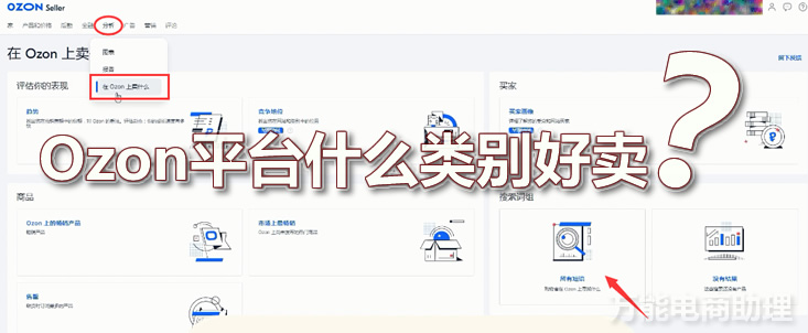 俄罗斯电商平台ozon发什么物流,俄罗斯电商平台ozon开店全流程