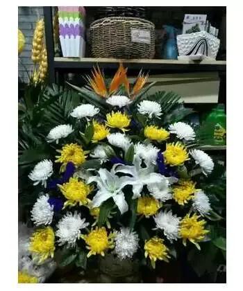 雪的记忆图片,一场雪的记忆