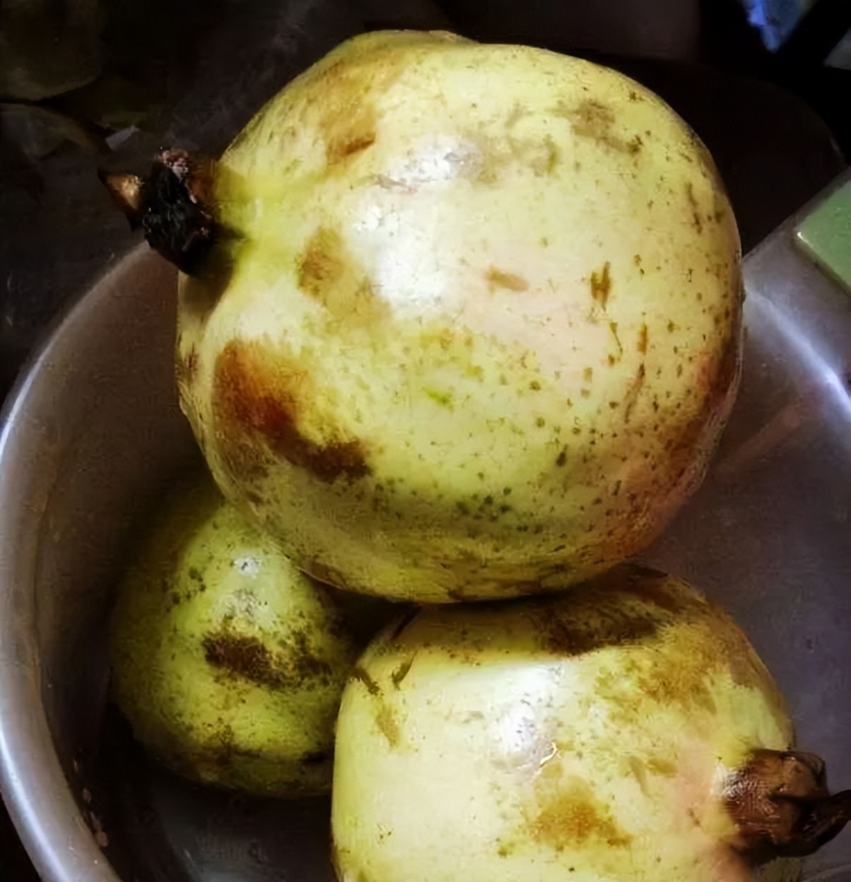 石榴苗怎么挑选,石榴会四季开花吗