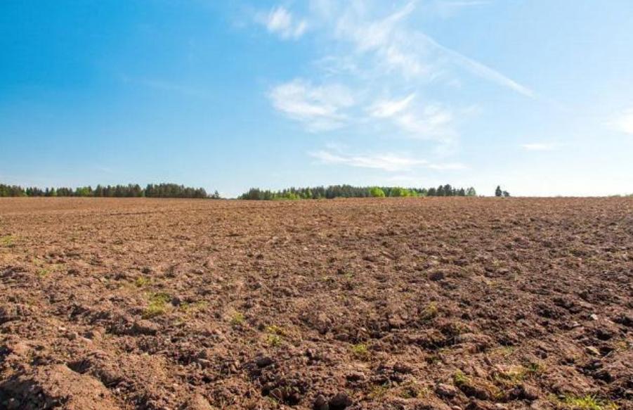 日本人在山东租了1500亩地,日本人在山东租地1500亩现状