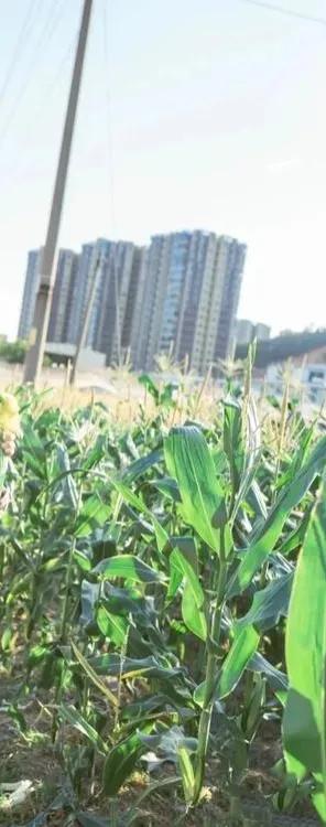 福州宝藏打卡地,福州的小众宝藏目的地