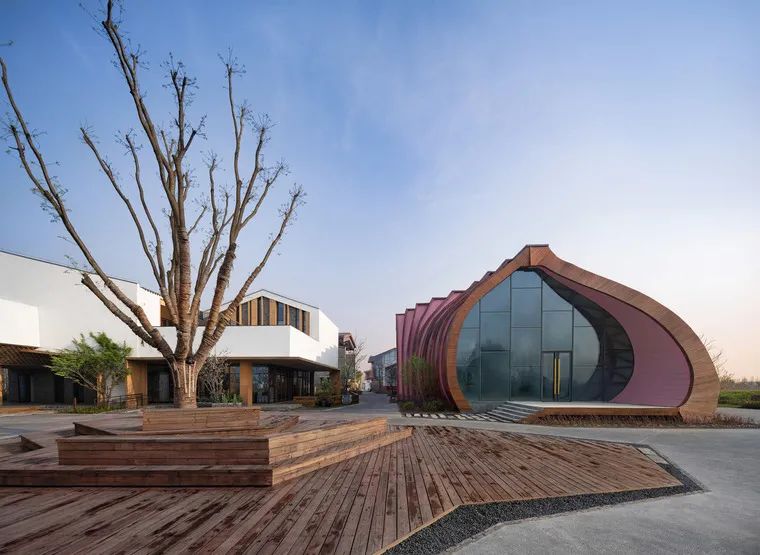 贵州省5起乡村振兴典型案例通报,乡村振兴中可以做哪些景观设计