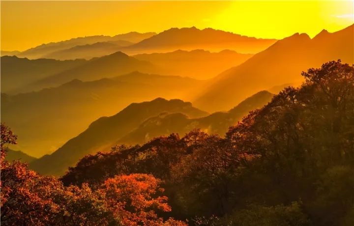 洛阳网红打卡地推荐,洛阳又一个网红打卡地