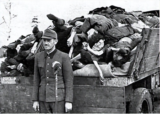 纳粹德国中的同性恋群体：*害迫**、抵抗和后果