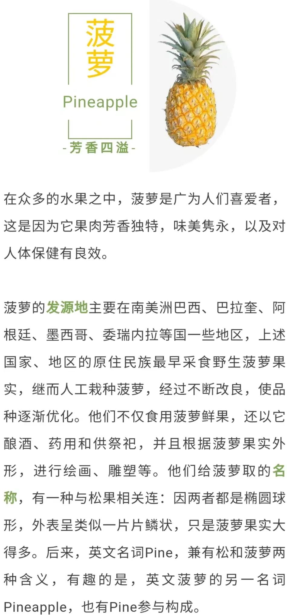 菠萝可以和牛奶一起榨汁吗,菠萝牛奶蜂蜜可以一起吃吗