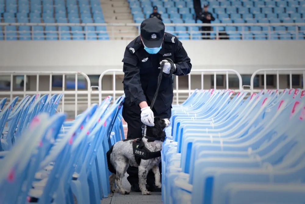 护航辽宁全面振兴,辽宁法院服务保障全面振兴新突破