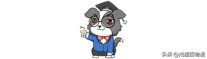 狗狗害怕打雷怎么办,狗狗害怕打雷一直发抖怎么办