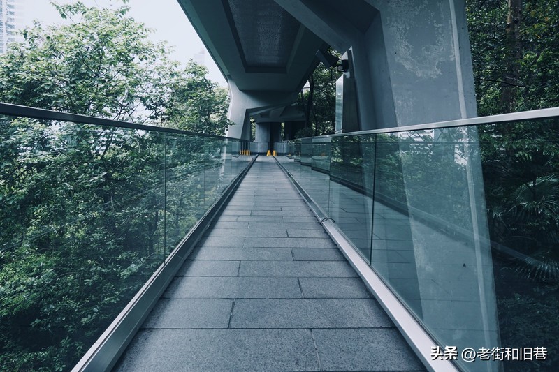 罗生门和黄粱梦,罗生门香港live