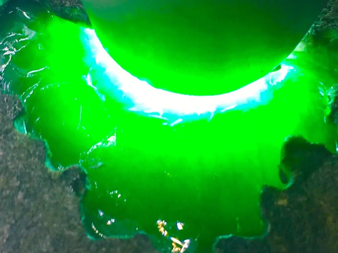 天猫卡诺辛蒂翡翠直播,卡诺辛蒂旗原石