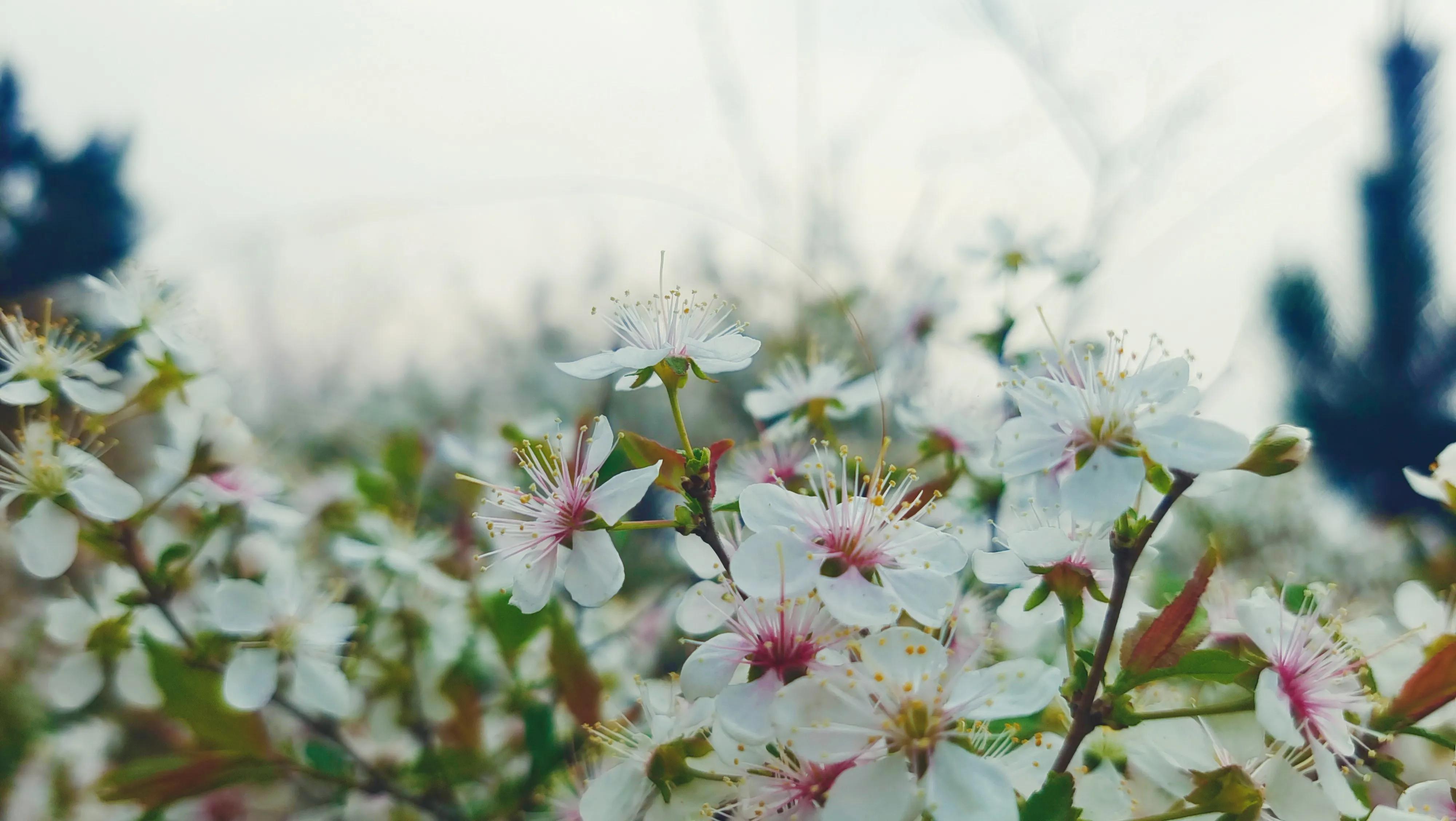 解封后你最想做什么,解封后你最想去的地方