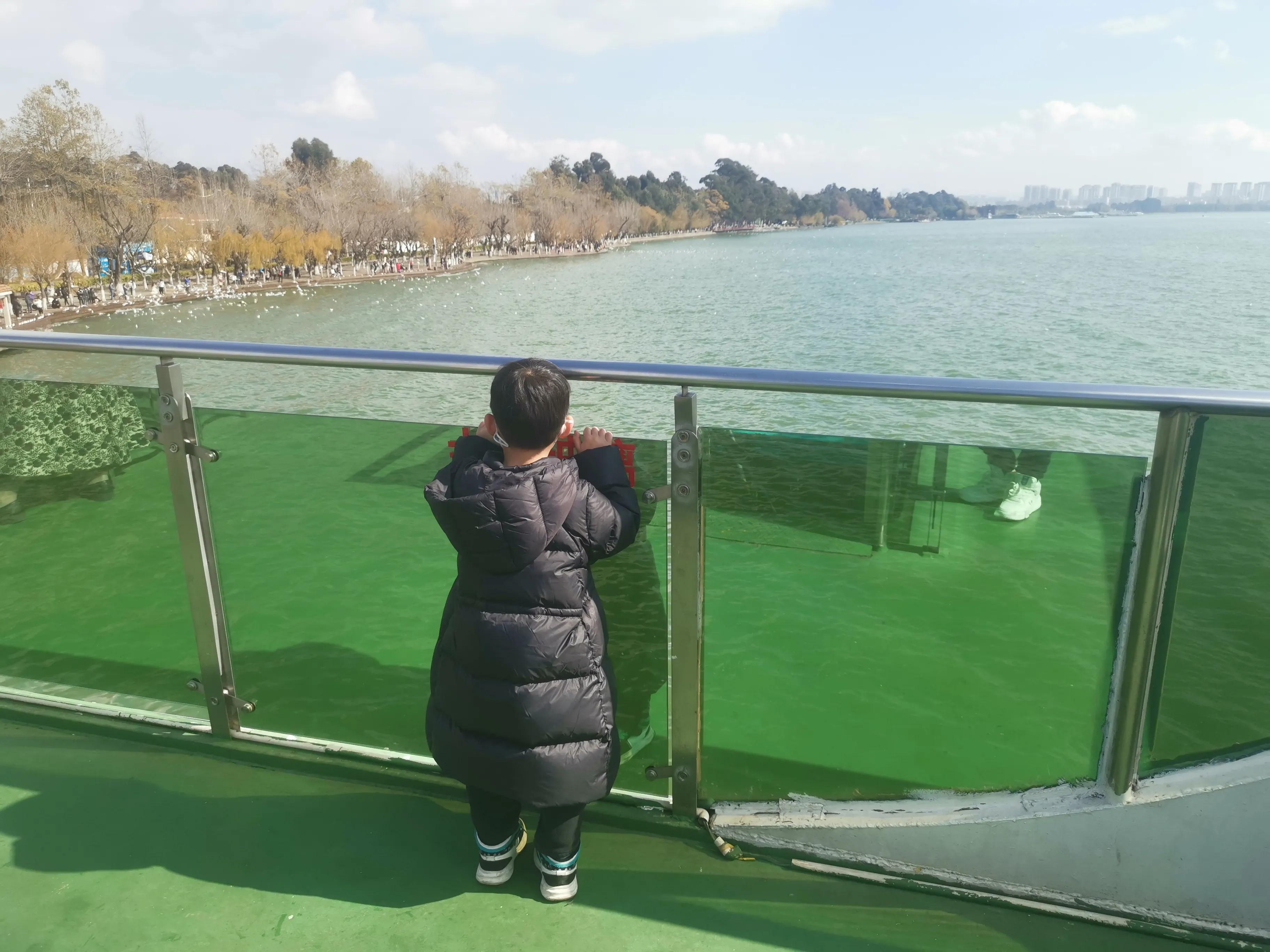 云南之旅丽江之行,2020年春节丽江大理之行