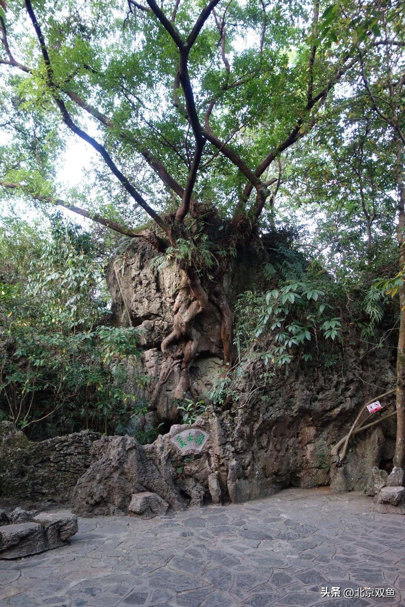 贵州黄果树最美的地方,贵州黄果树旅游攻略自由行