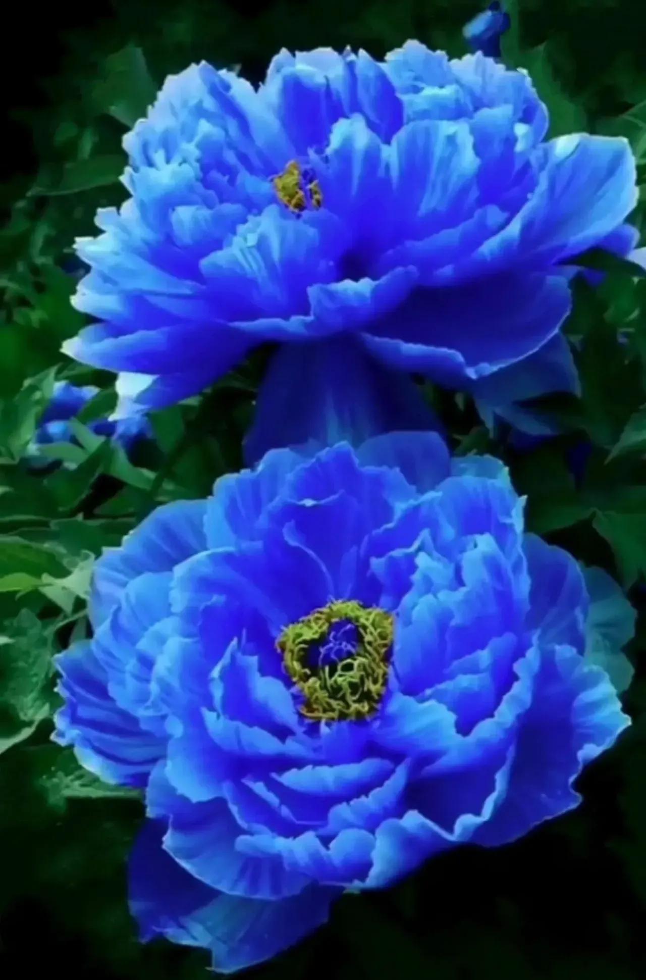 在春暖花开季节遇见浪漫,浪漫总是发生在春暖花开时配音