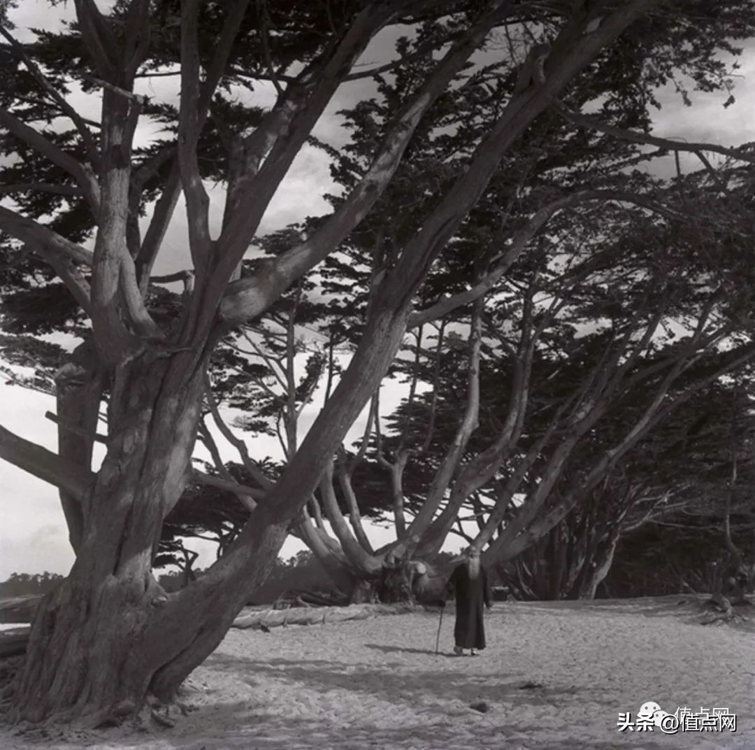 张大千泼彩荷花拍卖天价,香港拍卖张大千荷花