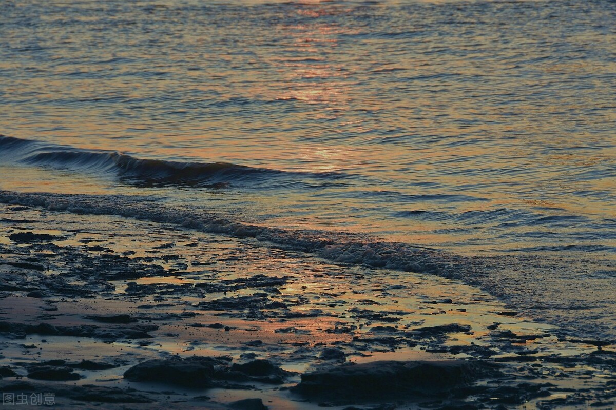 中国诗词大会经典开场白跟结束语,中国诗词大会开场白和结束语感悟