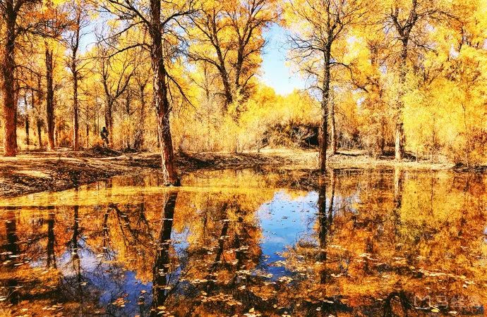 甘肃省各市颜值排名,甘肃省各市照片