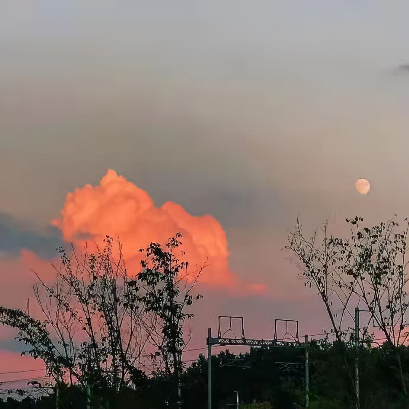 在外漂泊的人想家的文案,漂泊在外真的很辛苦想家的文案