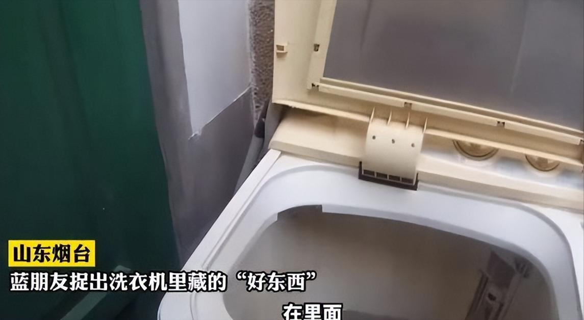 头皮发麻！山东女子从洗衣机洗出冻僵蛇，雄黄驱蛇是“摆设”吗？