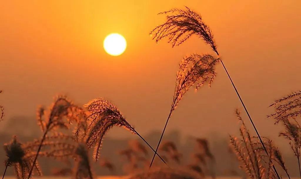 云端秘境遂昌,遂昌冬天旅游攻略