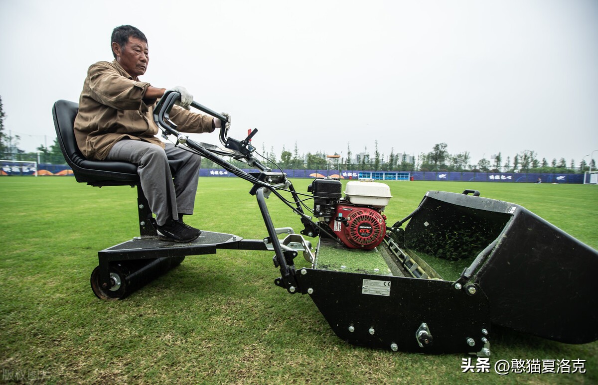 世界杯的草坪是真草吗,世界杯足球场草皮是硬的还是软的