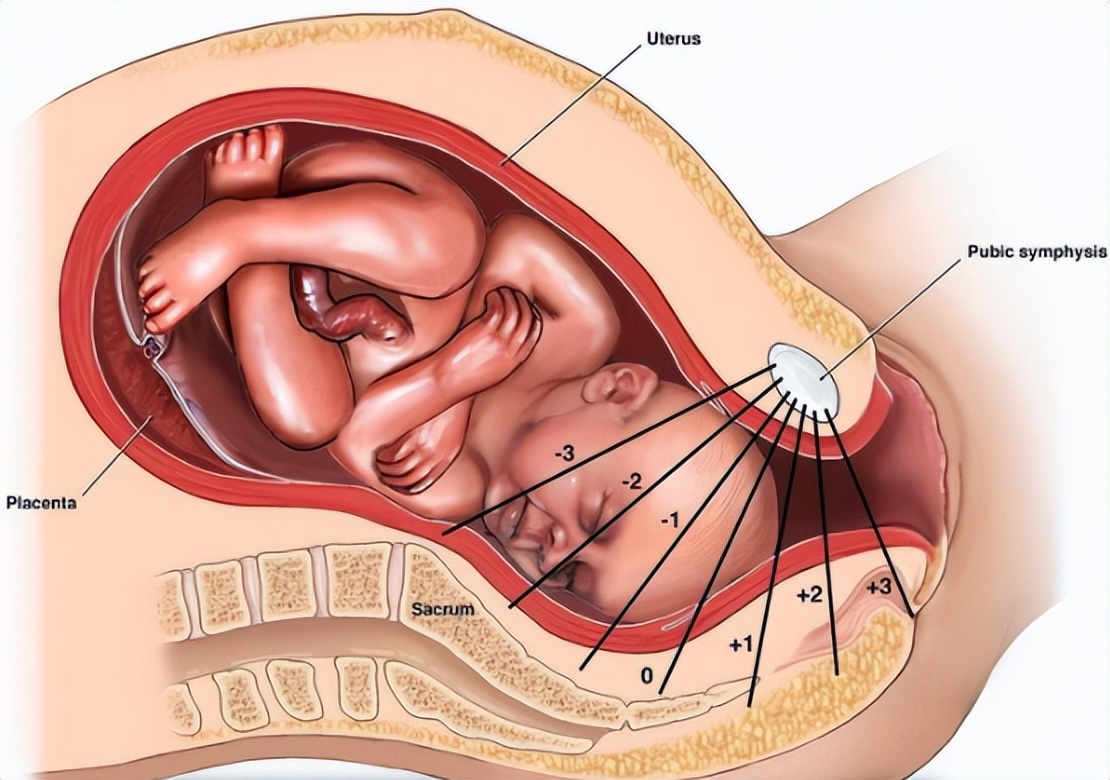 上午生宝宝跟下午生哪个好,上午生孩子真的比下午好吗