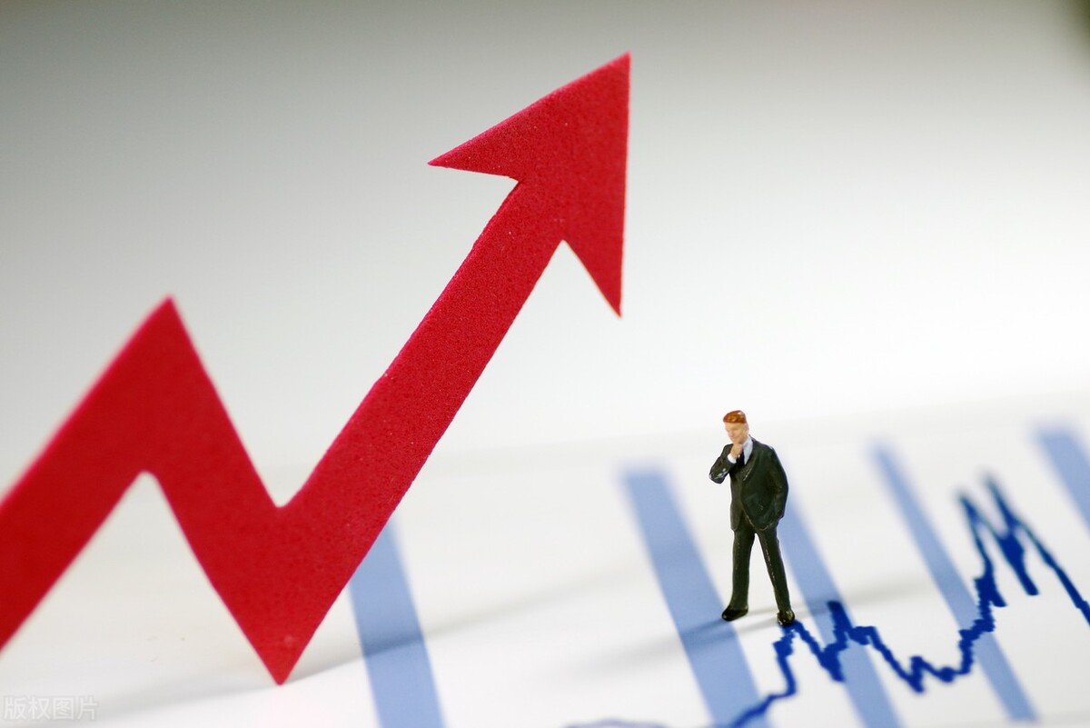 软岛科技2021财报解读：利润迎来小高峰，“数字生意”发力明显