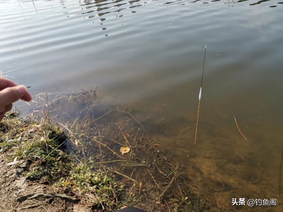 为什么浮漂怎么推都不变目,浮漂怎么调都不会变目数