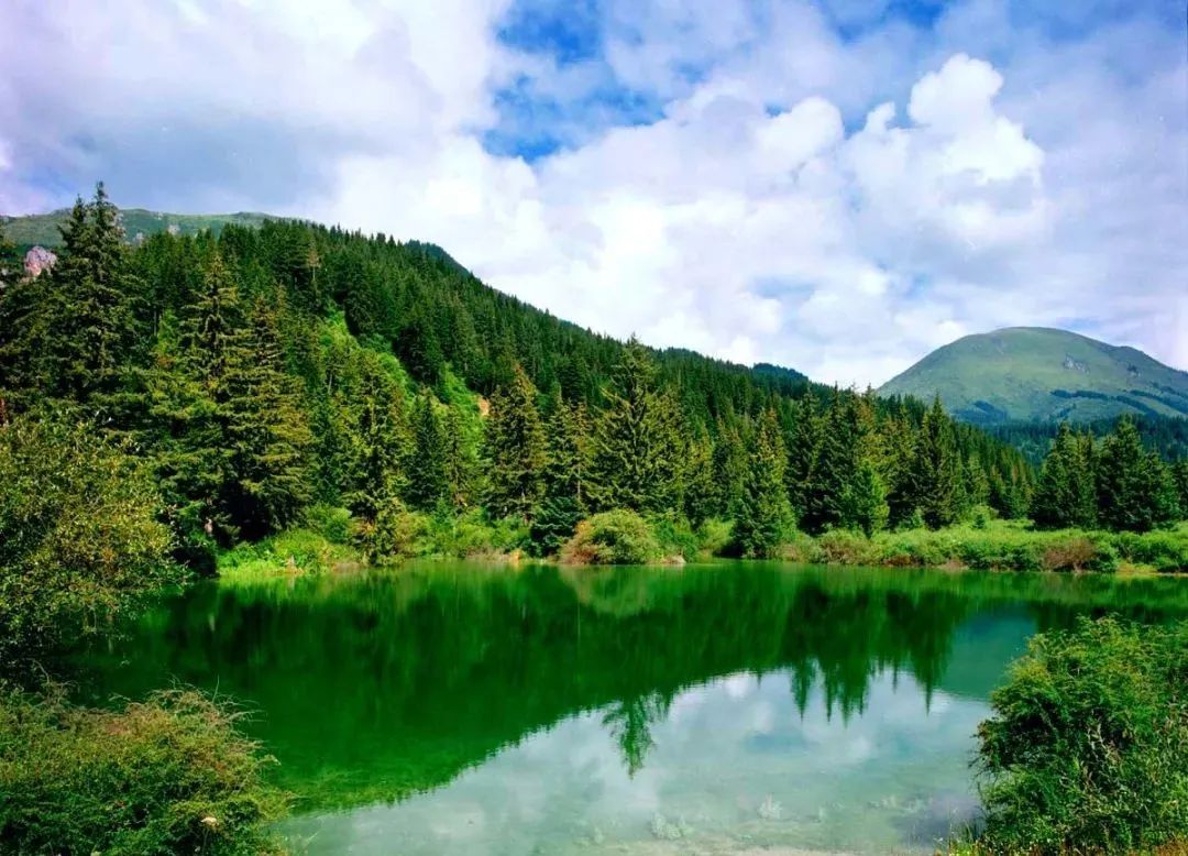 世间景，皆松潘！