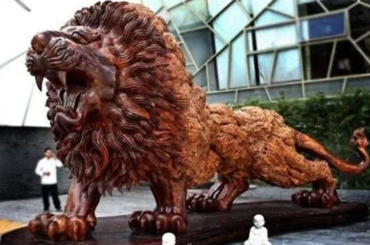 广西男子雕楠木,15米长东方雄狮根雕300万元拒卖