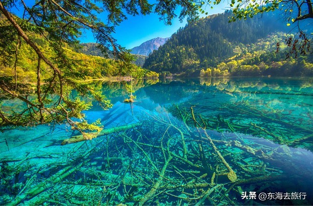 九寨沟是一个极其美丽的地方英文,九寨沟真的好漂亮