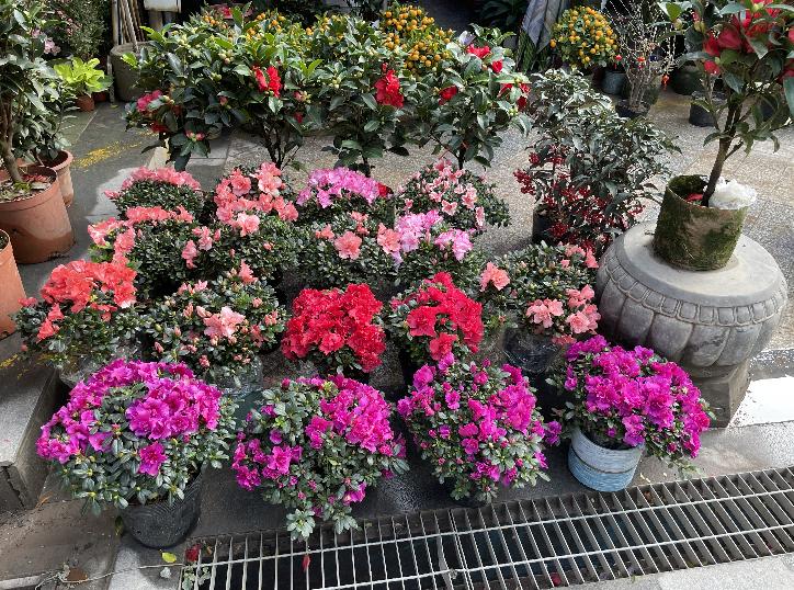 广州芳村花地古玩城,花地湾古玩城花市