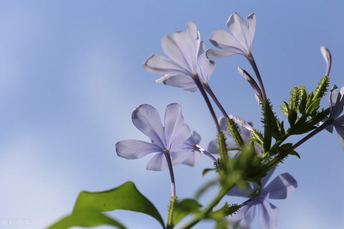 深圳休闲好玩的景点,深圳周末游玩好去处免费
