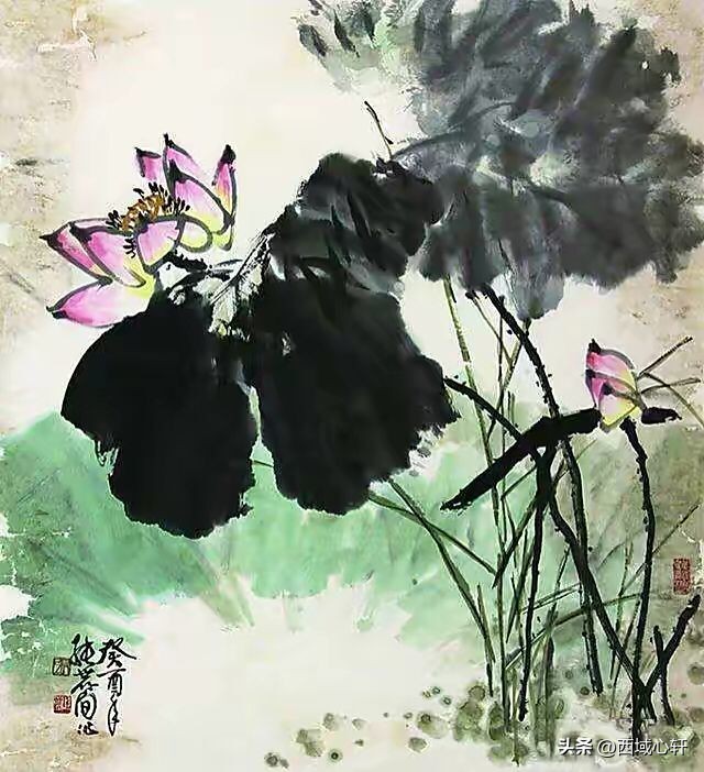 接天莲叶无穷碧映日荷花图片大全,莲叶无穷碧映日荷花别样红三幅图