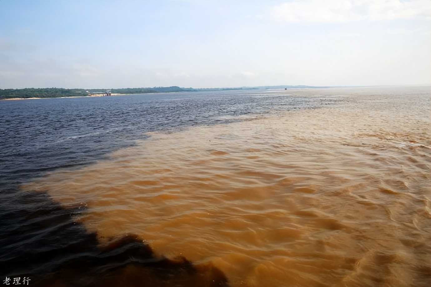 南美四国之旅,巴西亚马逊之行