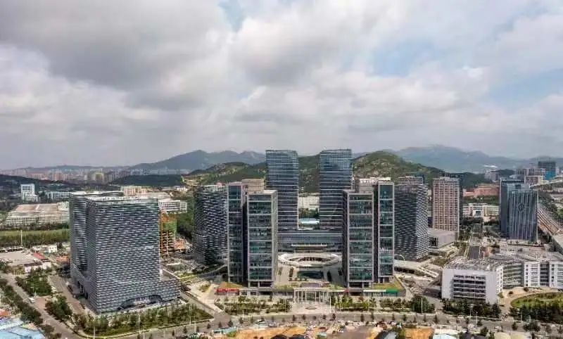 上海之后再赴深圳，青岛20天里的两次南下！坐不住！等不及！只为这件事