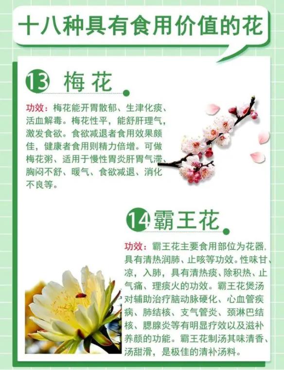 18种最漂亮的花草,18种必养的花