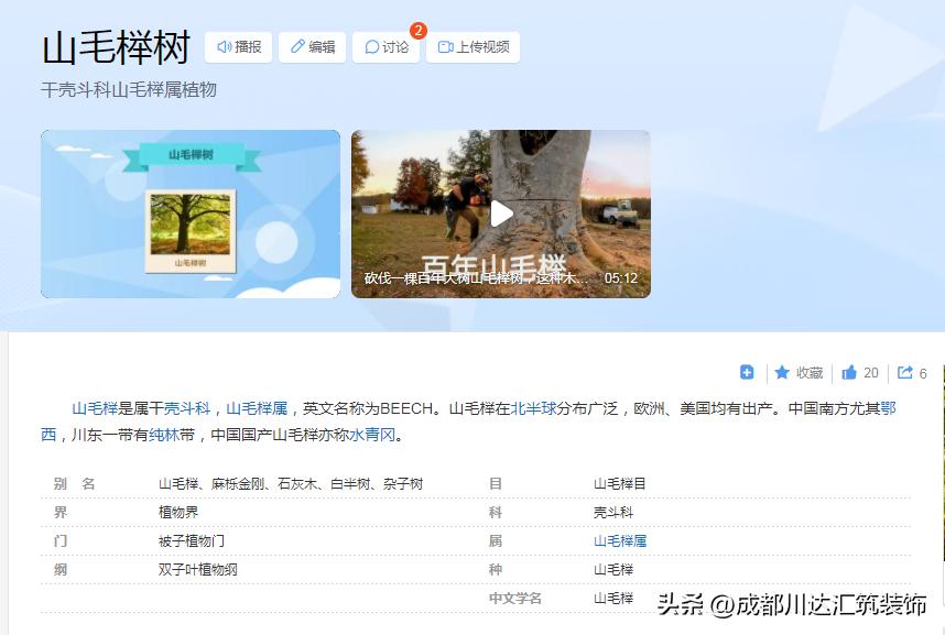 明式榉木家具如何断代,榉木家具为什么不值得购买
