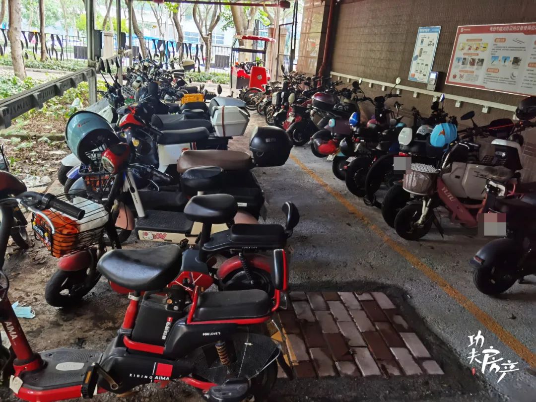 揭秘!10万+的天悦也很多*鸡电**!*鸡电**棚最豪的竟是它