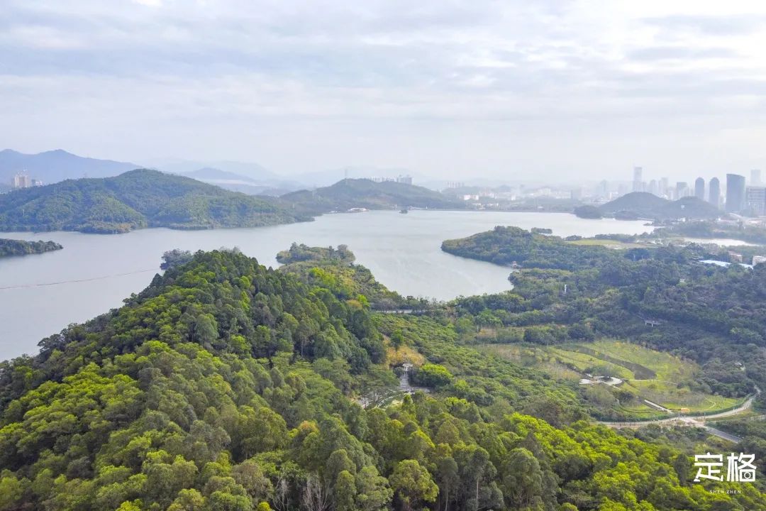 深圳十条景美徒步路线推荐,深圳水库徒步路线图