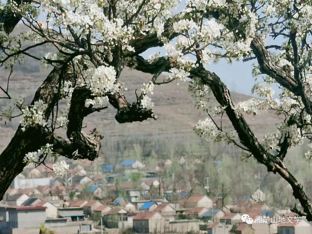 母亲是文盲沟通很困难,妈妈是文盲想认字